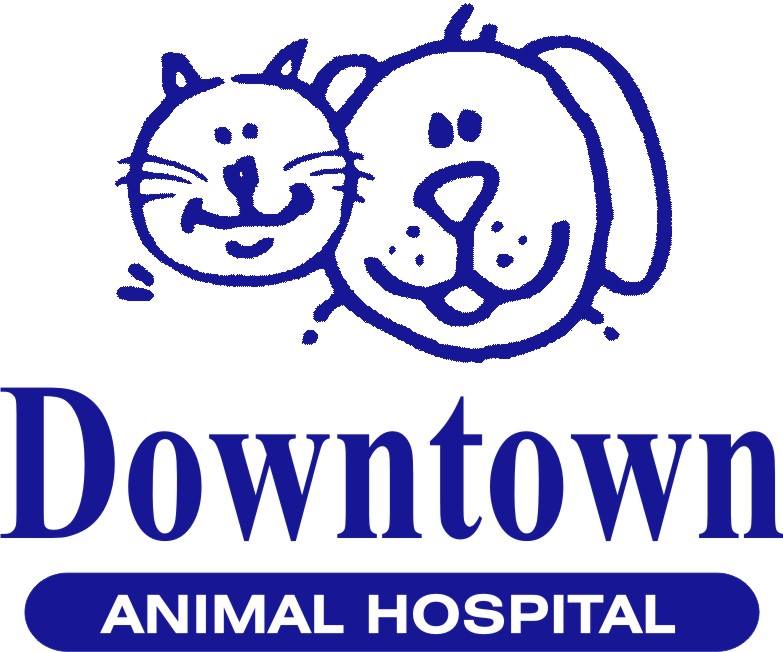 Downtown Animal Hospital